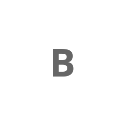 Bellus Toys B.V. icon