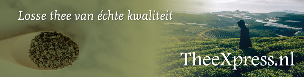 TheeXpress.nls achtergrond