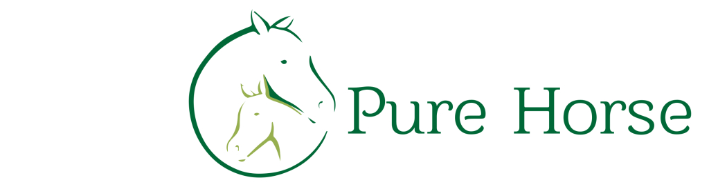 Pure Horses achtergrond