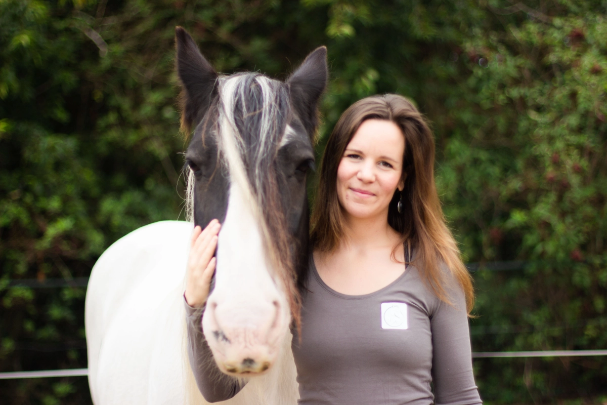 Pure Horses achtergrond