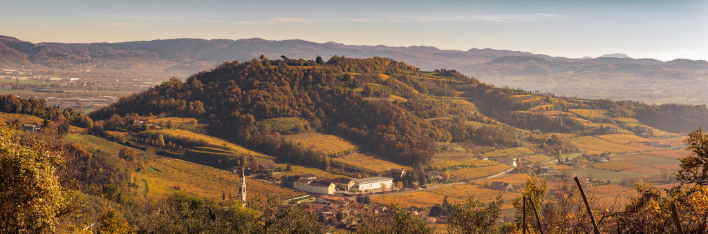 Elhorst Wijnens achtergrond
