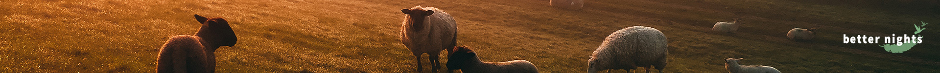 Better Nightss achtergrond