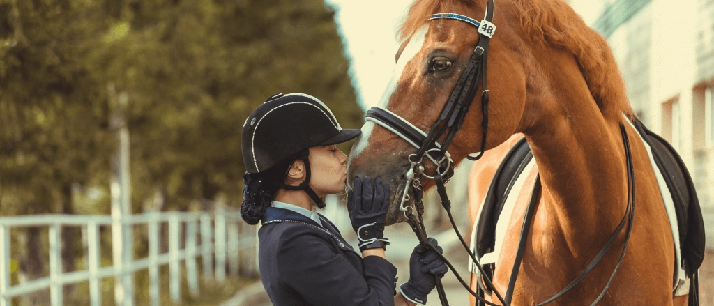 Equilin, veterinaire paardenvoedings achtergrond