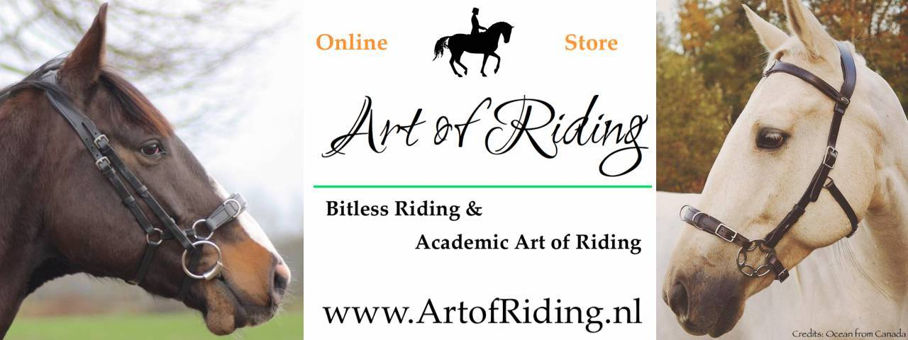 Art of Riding Hintergrund