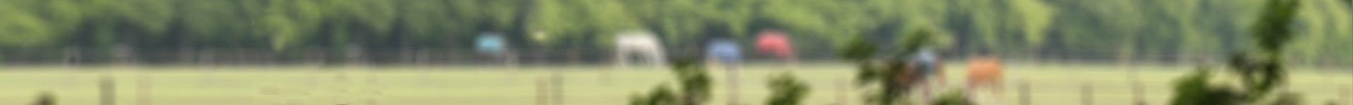 PaardEerlijk | Dé graasmasker specialists achtergrond