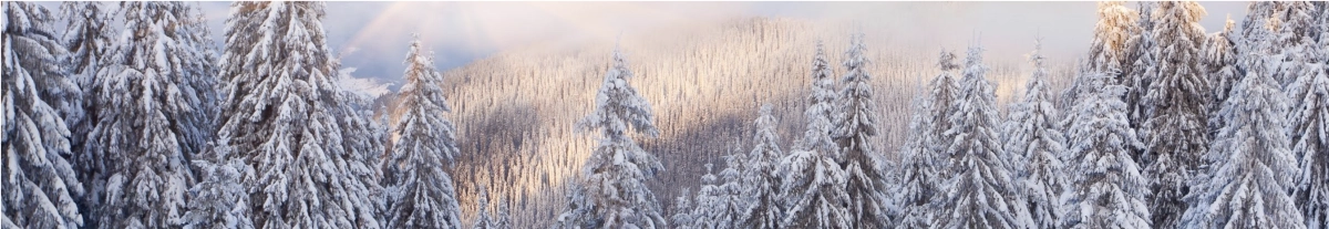 Kerstland.nl Hintergrund