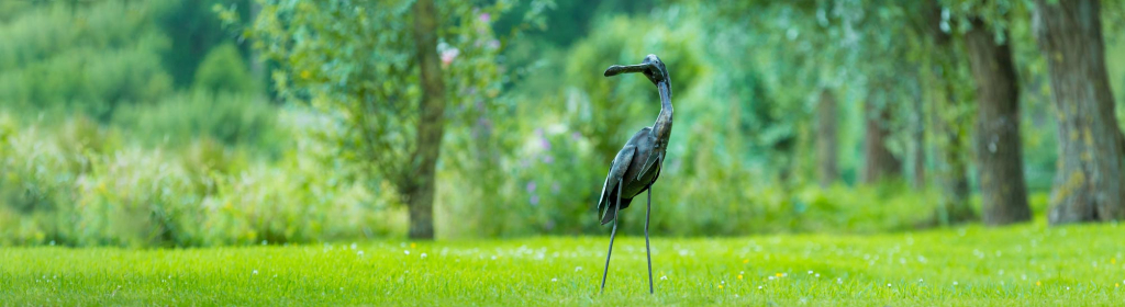 Mooievogelss achtergrond