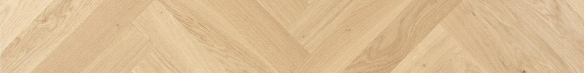 Visgraatshop.nls achtergrond