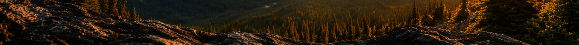 Hop.nl – Specialist in precisie schietsport en herladens achtergrond