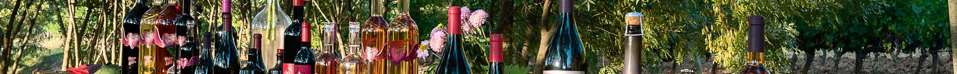 ProefWijns achtergrond