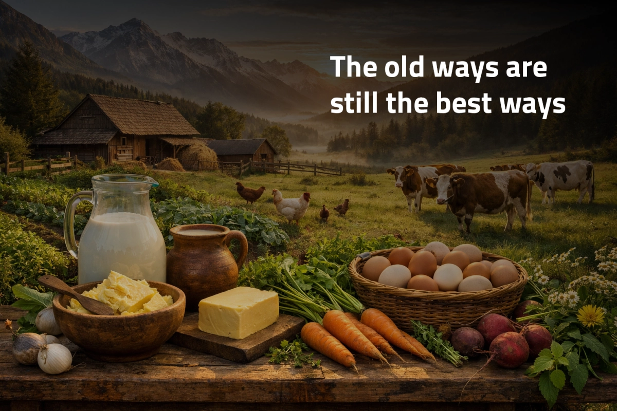 FinalVit.com/nl/s achtergrond