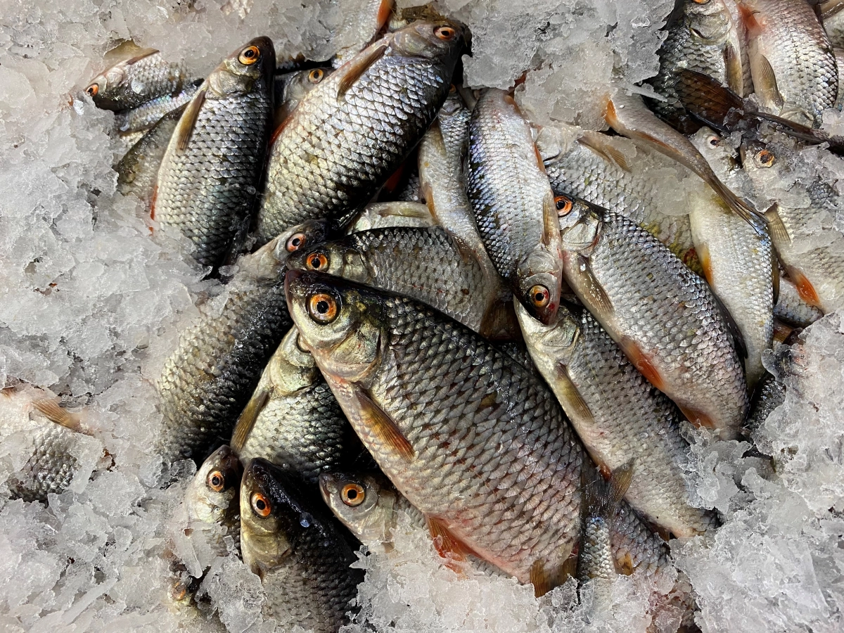 Doodaasbestellen.nls achtergrond