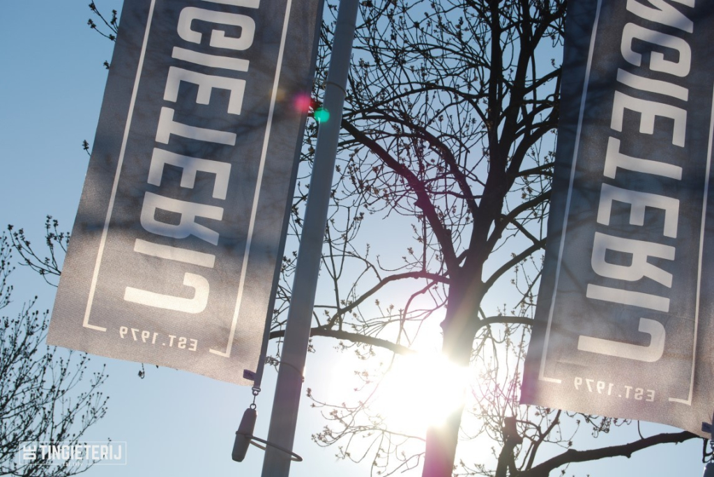 De Tingieterijs achtergrond