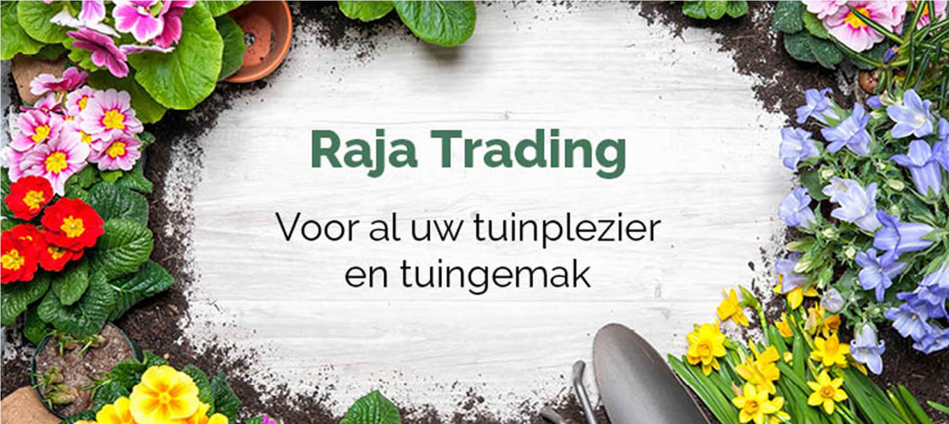 Raja Tradings achtergrond