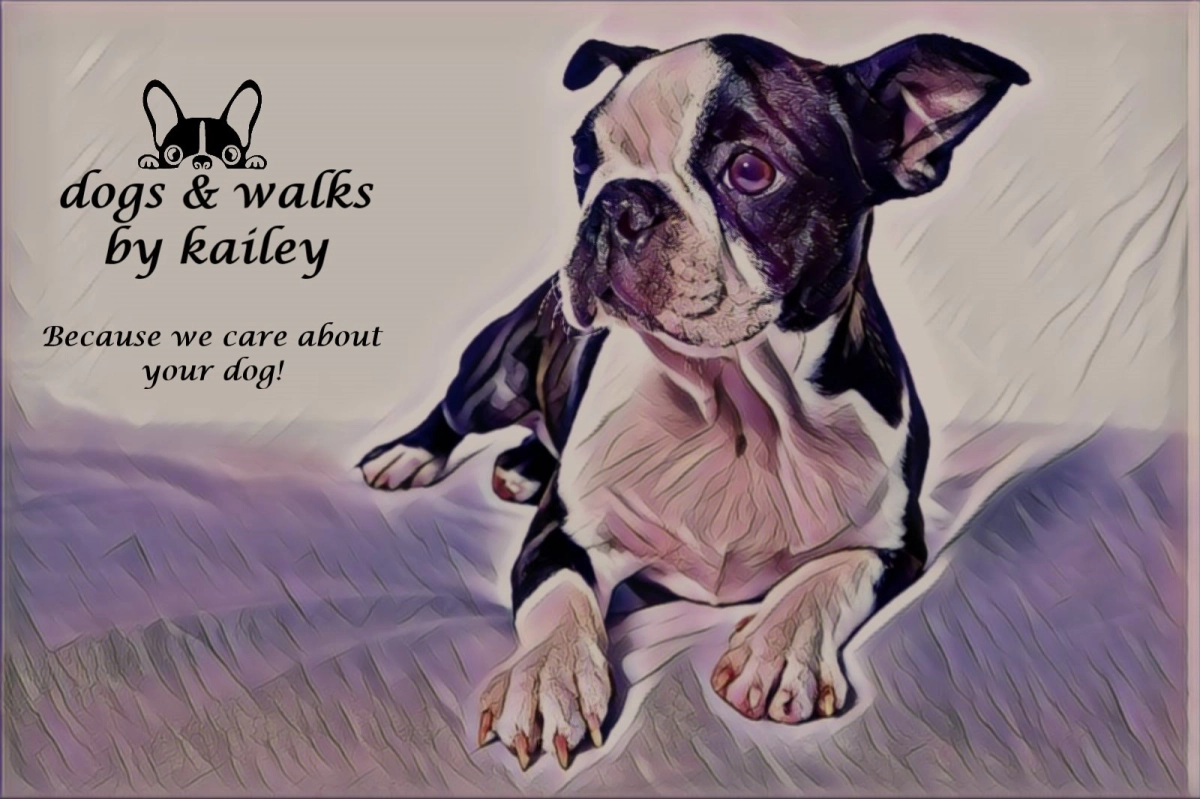dogs & walks by kaileys achtergrond