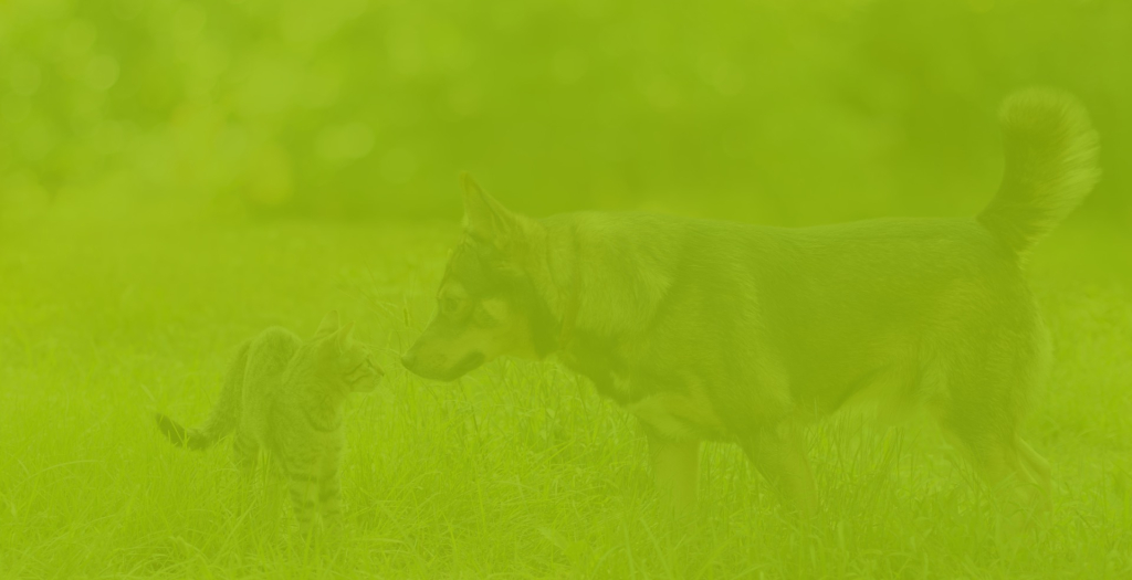 Pawgardens achtergrond