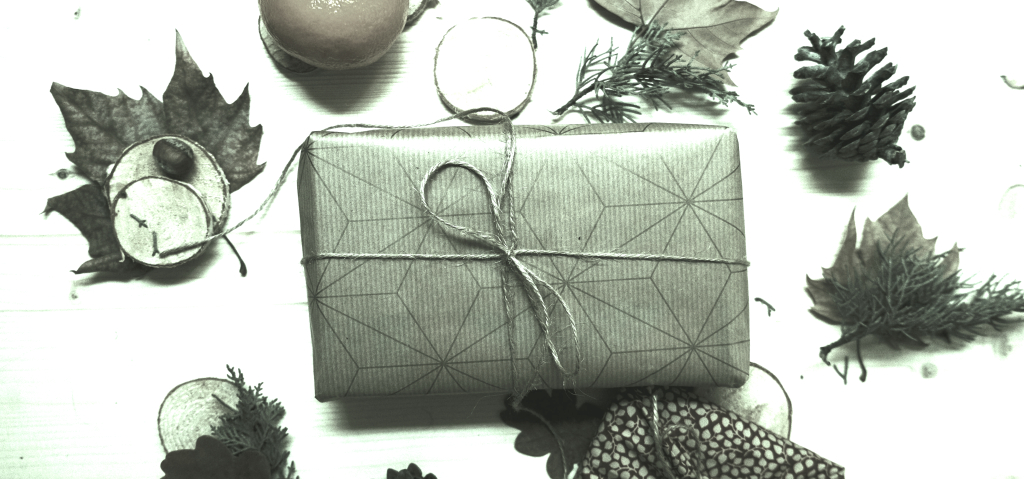 Eco-waars achtergrond