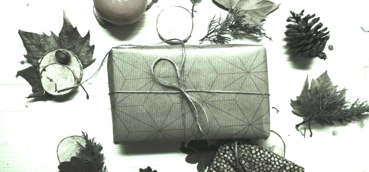 Eco-waars achtergrond