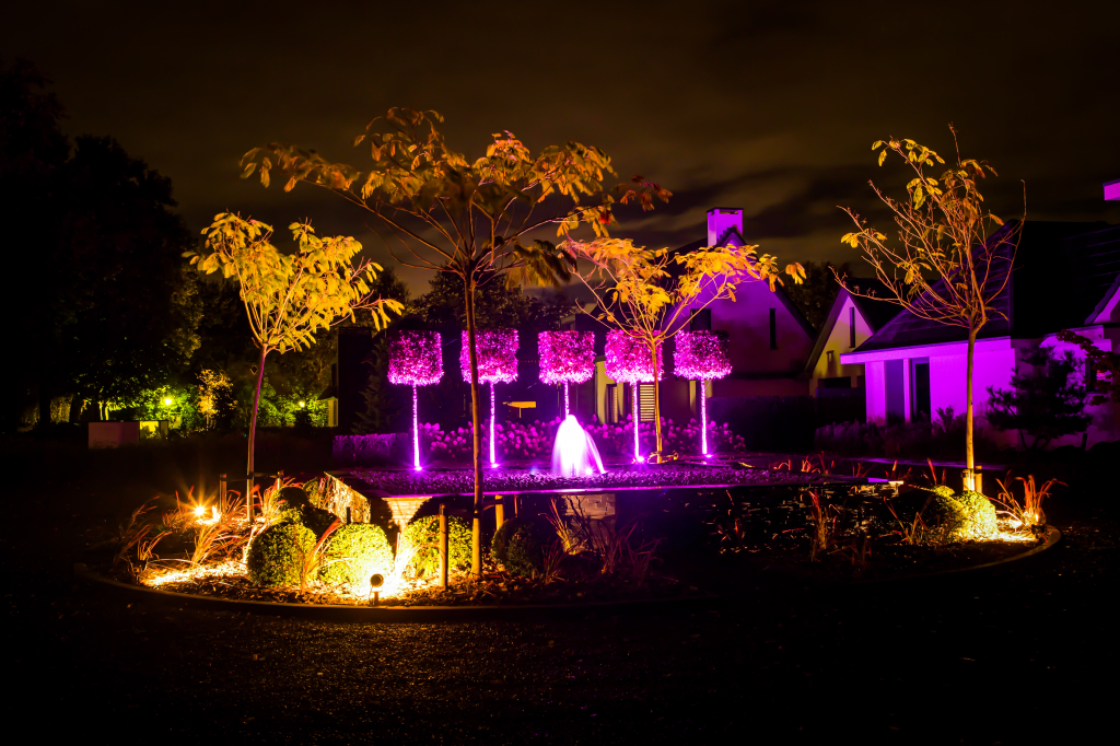 MiBoxerStores achtergrond