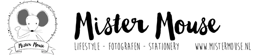 Mister Mouses achtergrond