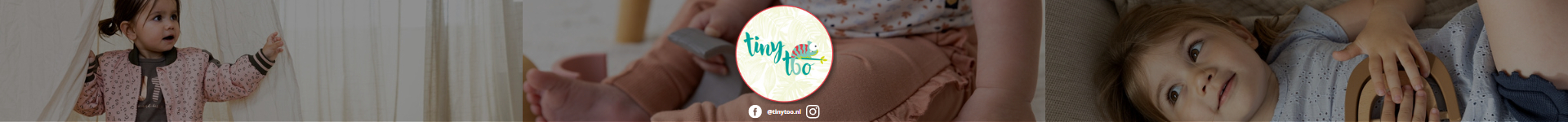 Tinytoo.nls achtergrond