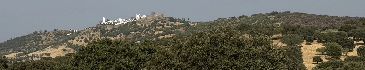 De Portugeess achtergrond