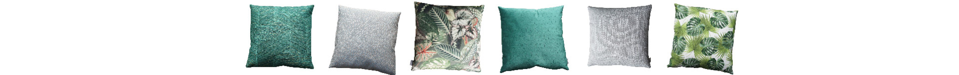 Pol Kussenss achtergrond