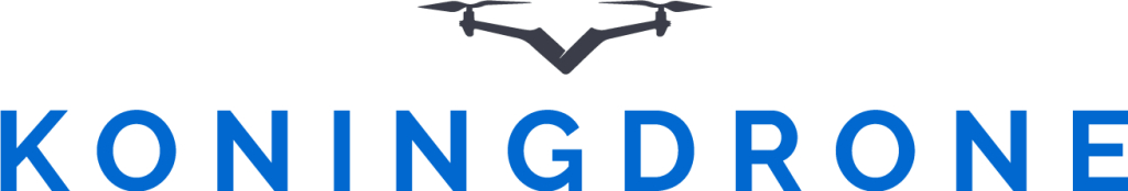 Koningdrones achtergrond