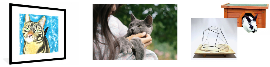 Draw a Pets achtergrond