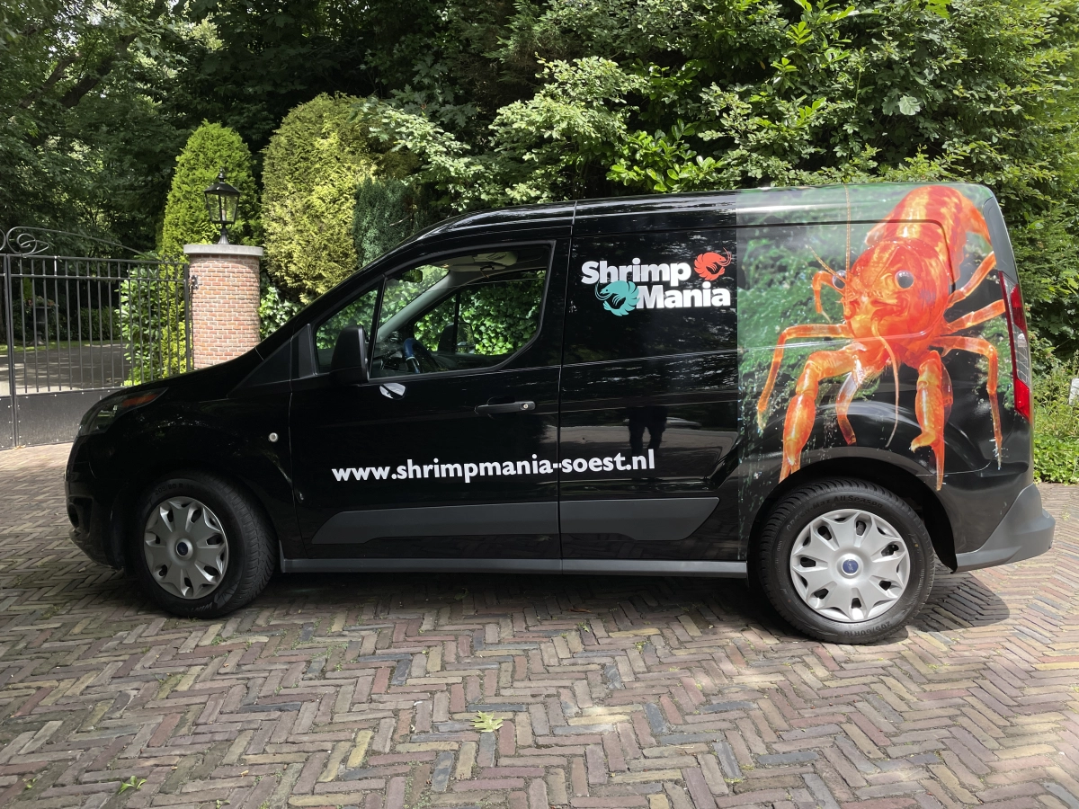 ShrimpManias achtergrond