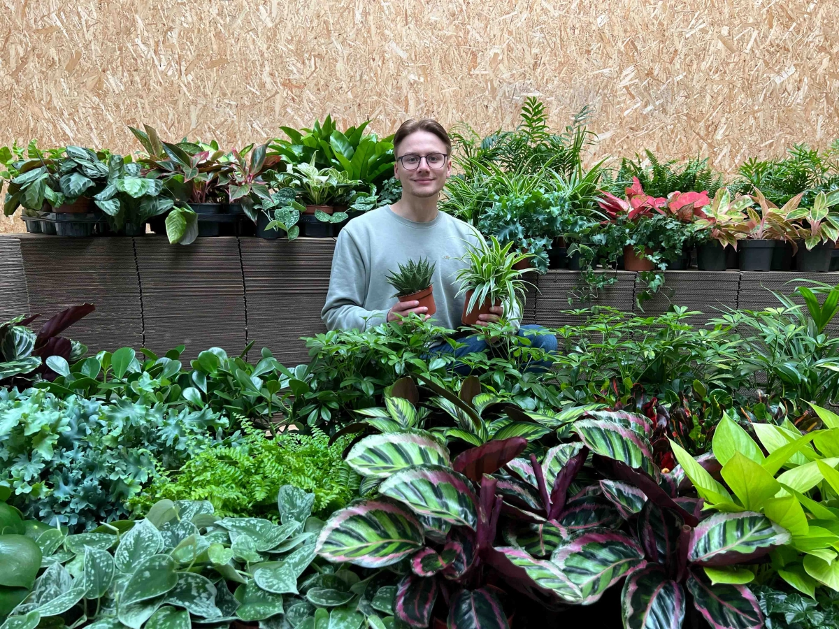 Фон на PlantenShop24