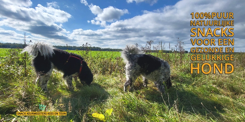 gezondedogsnacks.nls achtergrond