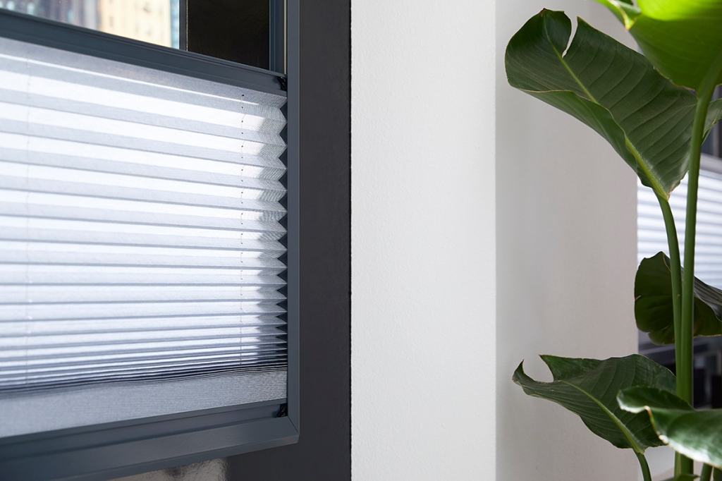 FrameBlindss achtergrond