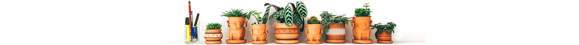 de Plantenpot WebWinkels achtergrond