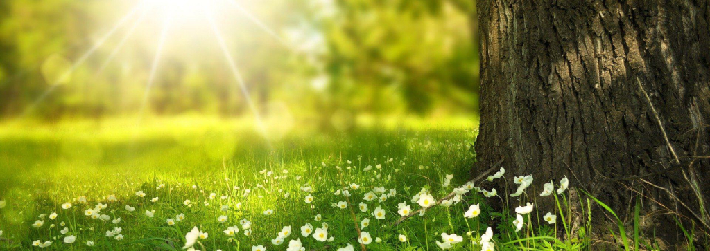 WereldVitaals achtergrond