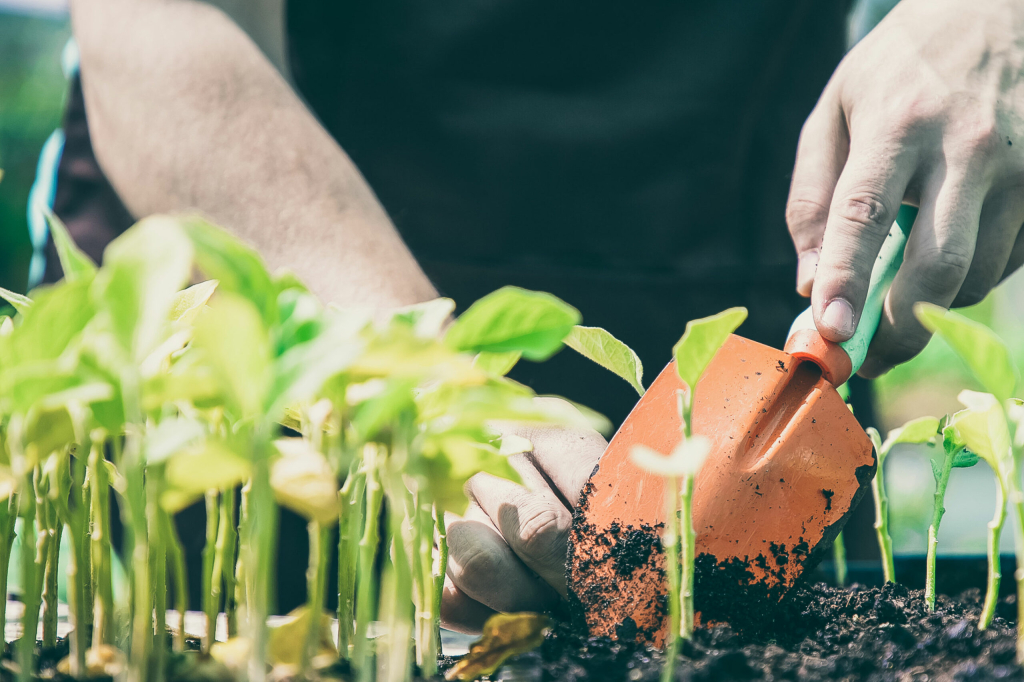 GrowDeal.nls achtergrond