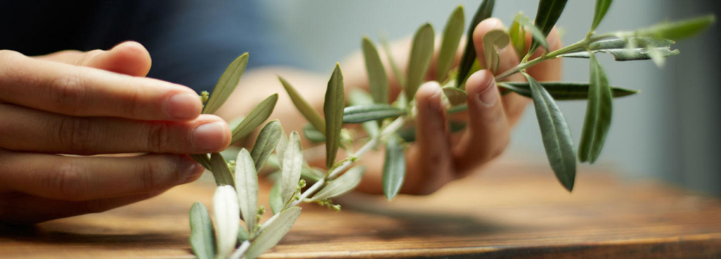 OlivEva Natural Cares achtergrond