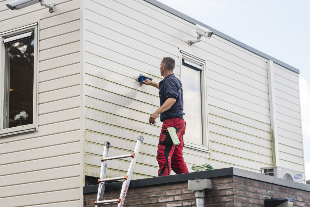 Vossen Greener Chemicalss achtergrond