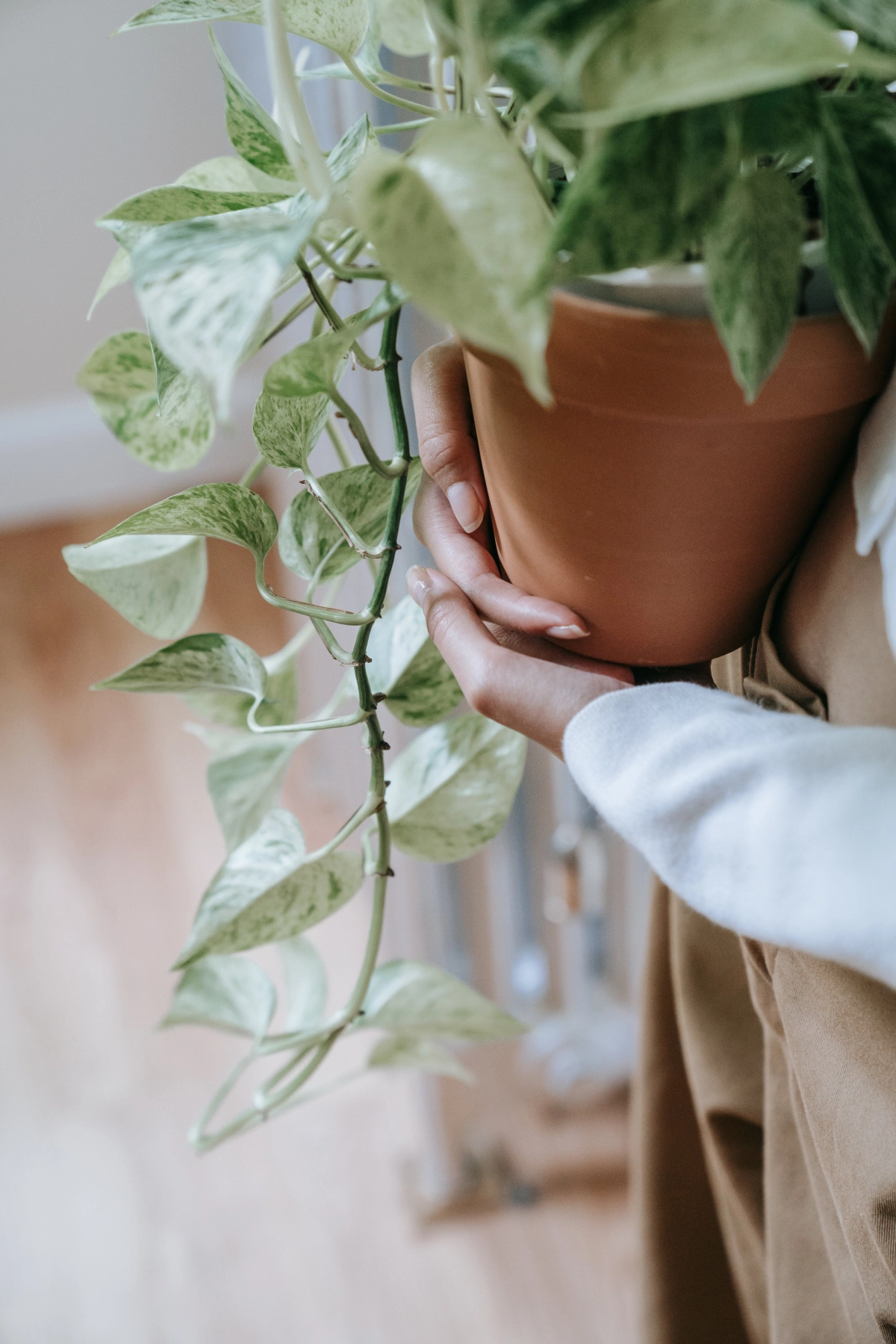 Planten werelds achtergrond