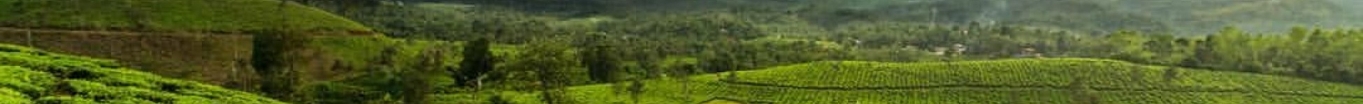 WILG-Trading Plantfoodss achtergrond