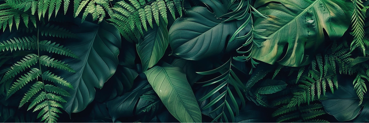 Krokomingos achtergrond