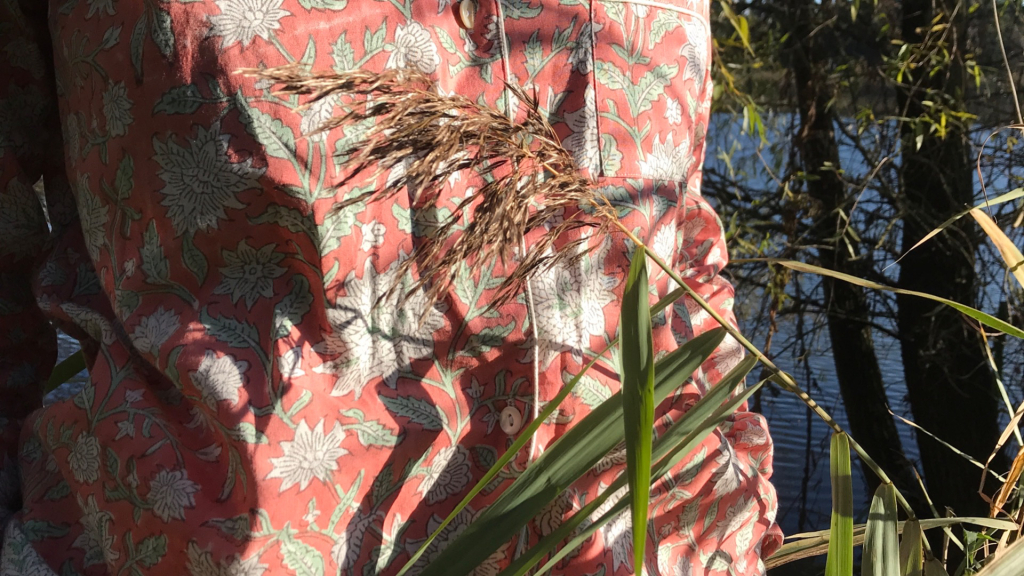 Tree Sea Studios achtergrond