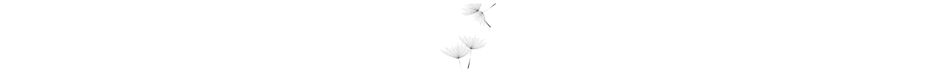 All Things Smalls achtergrond