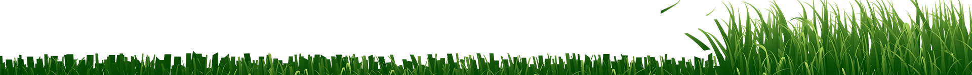 Mowroboticss achtergrond