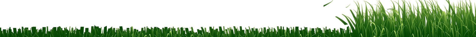 Mowroboticss achtergrond