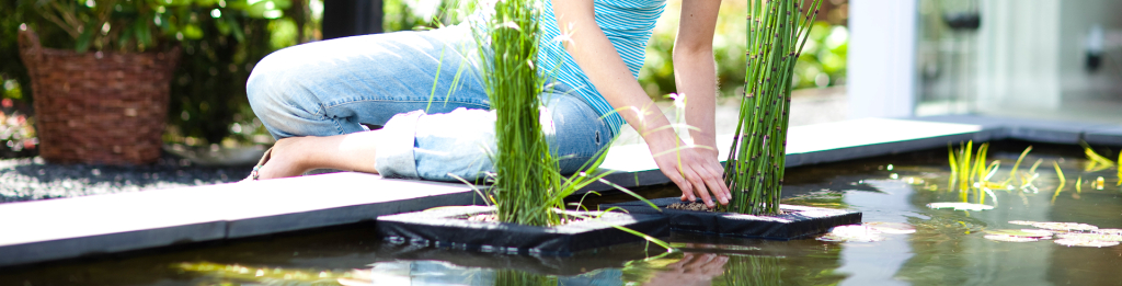 Wateryous achtergrond