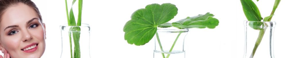 Solutions Webshop (International webshop Solutions Cosmeceuticals)s achtergrond