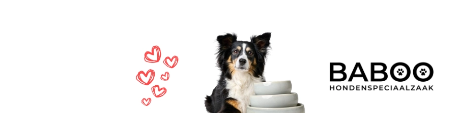 BABOO | Jouw Hond Verdient Het Allerbestes achtergrond