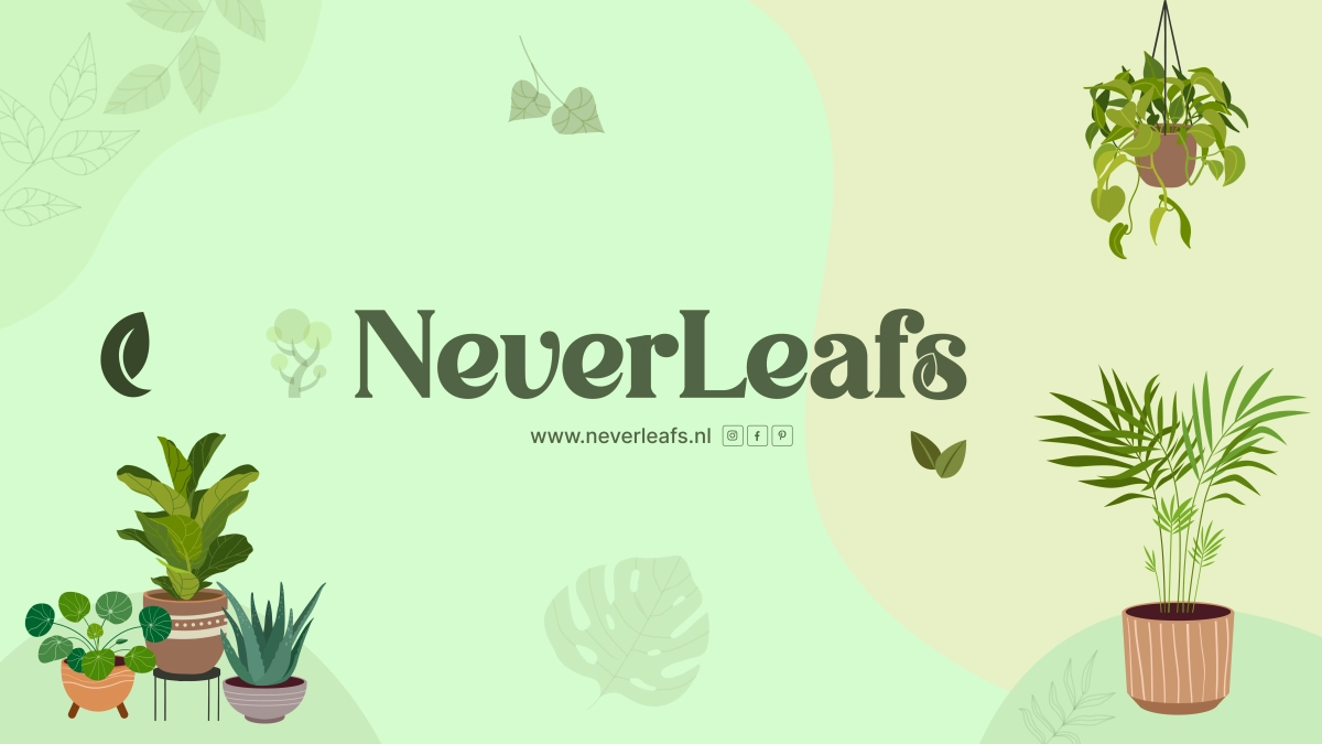 NeverLeafss achtergrond