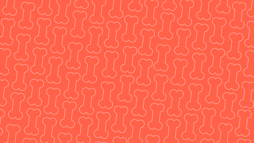 Nutridog Hintergrund